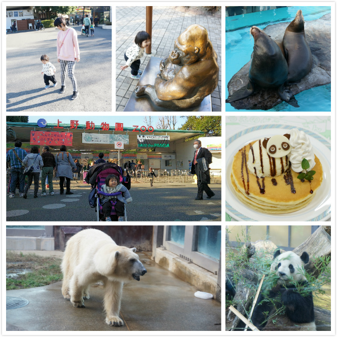 上野動物園 上野親子景點上野動物園