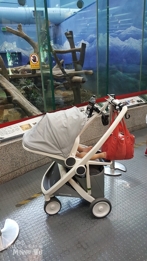 環保科技,座艙大,超輕量歐系大車,iPhone輕美有型,客製化嬰兒推車配色,嬰兒推車推薦 環保科技,座艙大,超輕量歐系大車,iPhone輕美有型,客製化嬰兒推車配色,嬰兒推車推薦