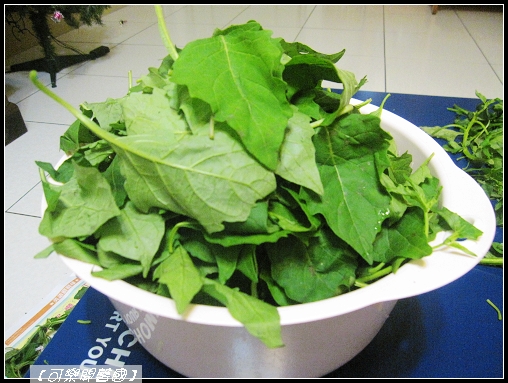 照片 046.jpg 照片 046.jpg