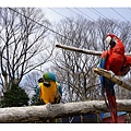 PhotoCap_036.jpg