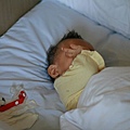 IMG_2387.JPG
