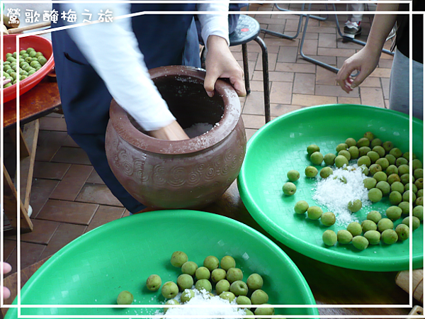 2008 鶯歌醃梅 發鹽