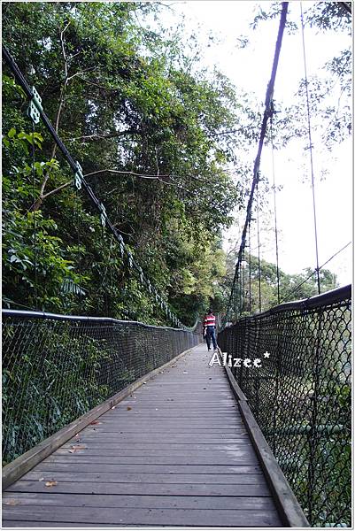 瓦拉米步道-第二號吊橋