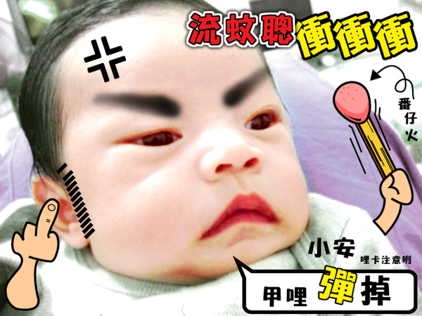 夢慈的BABY