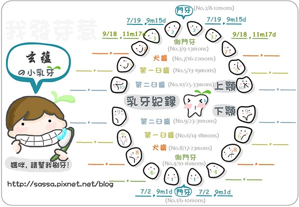 乳牙小記錄.jpg