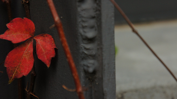 DSC01150.JPG