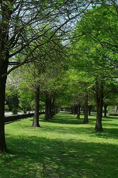 P1310397 P1310397