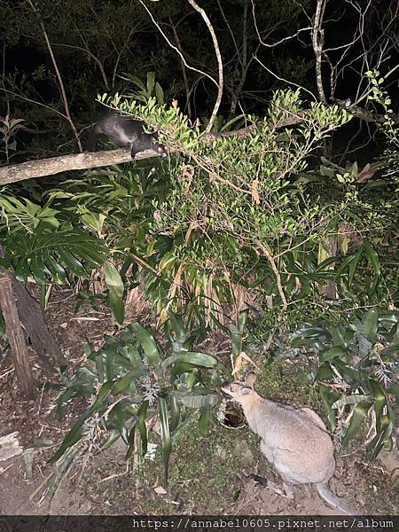 <必玩> 大自然控！澳洲永續綠生態社區Crystal Wat