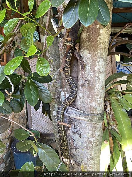 <必玩> 大自然控！澳洲永續綠生態社區Crystal Wat