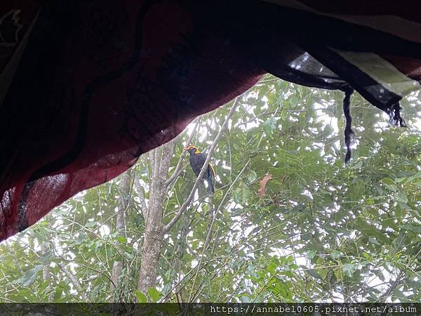 <必玩> 大自然控！澳洲永續綠生態社區Crystal Wat