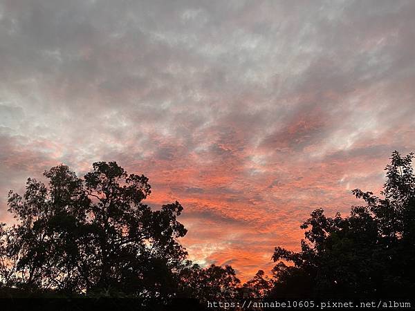 <必玩> 大自然控！澳洲永續綠生態社區Crystal Wat