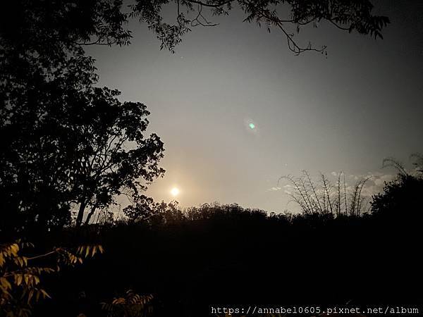 <必玩> 大自然控！澳洲永續綠生態社區Crystal Wat