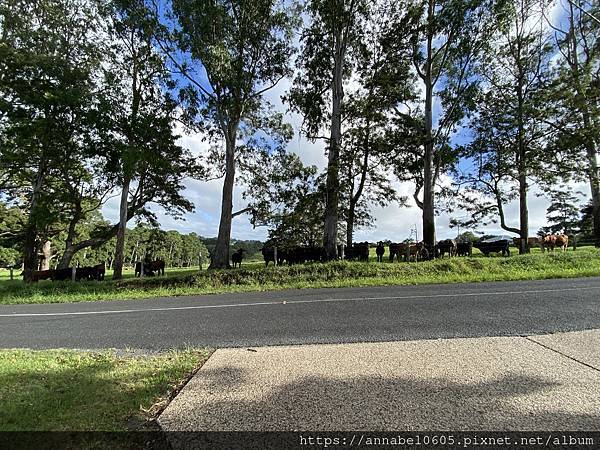 <必玩> 大自然控！澳洲永續綠生態社區Crystal Wat