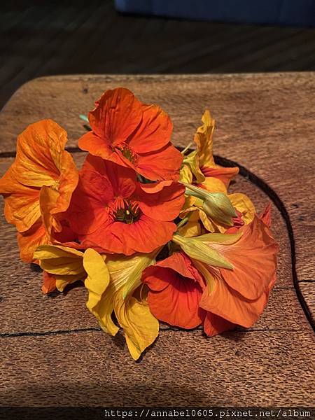 <必玩> 大自然控！澳洲永續綠生態社區Crystal Wat