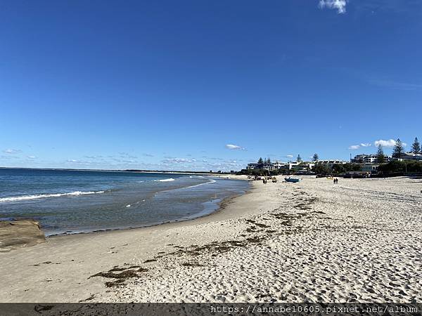 <必玩> 澳洲陽光海岸掛保證必看到鯨魚的賞鯨之旅@Moolo