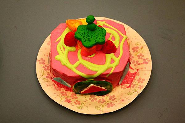 IMG_8015 IMG_8015