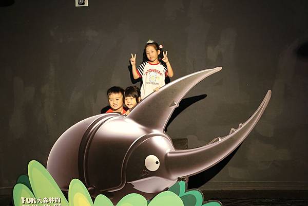 IMG_8611 IMG_8611