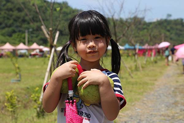 IMG_9017 IMG_9017