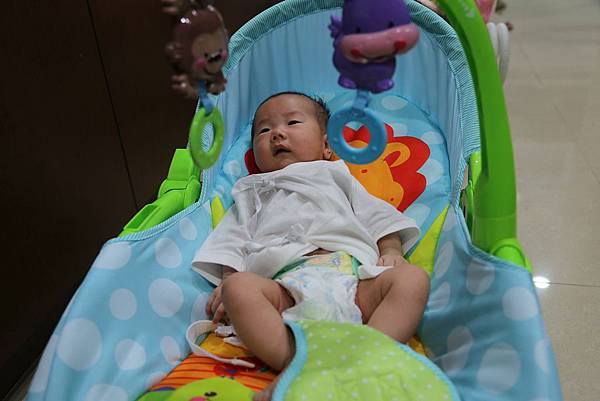 IMG_9972 IMG_9972