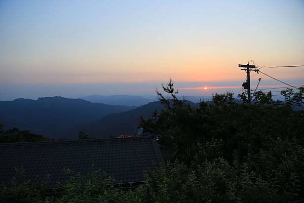 IMG_6871 IMG_6871