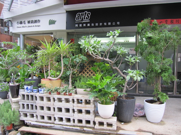 20090722台北小綠毛植栽1.jpg