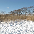 北海道345 471.jpg