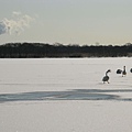 北海道345 478.jpg