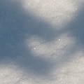 北海道345 493.jpg