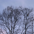 北海道12 021.jpg