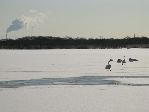 北海道345 478.jpg