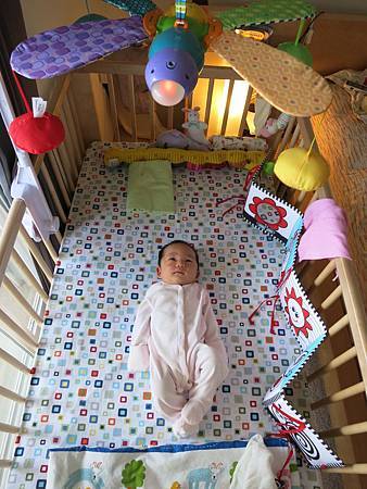 IMG_1475 IMG_1475