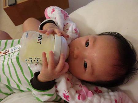 IMG_1800 IMG_1800