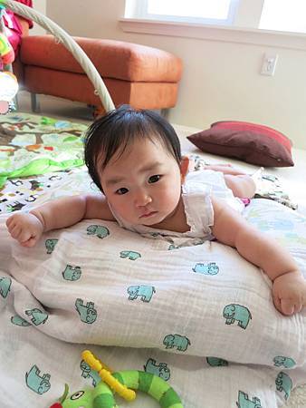 IMG_2863 IMG_2863