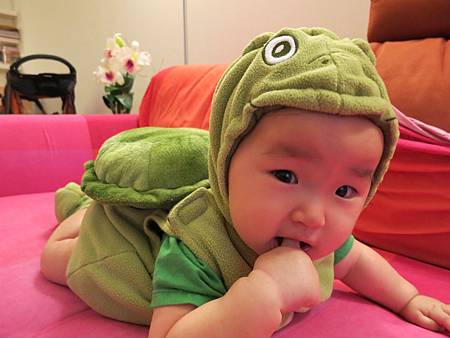 IMG_0143 IMG_0143