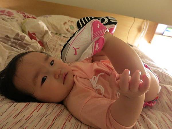IMG_0221 IMG_0221