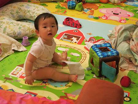 IMG_0973 IMG_0973