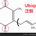 Ubiquinone.png