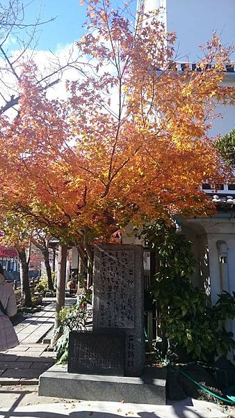 日本北九州柳川 日本北九州柳川