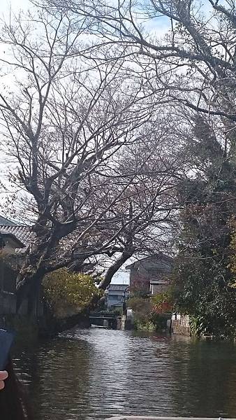 日本北九州柳川 日本北九州柳川