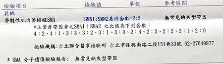 SMA報告.jpg SMA報告.jpg