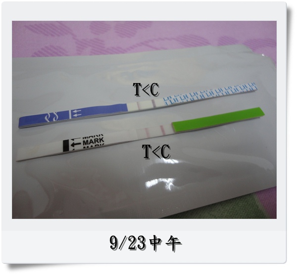 923早.JPG 923早.JPG