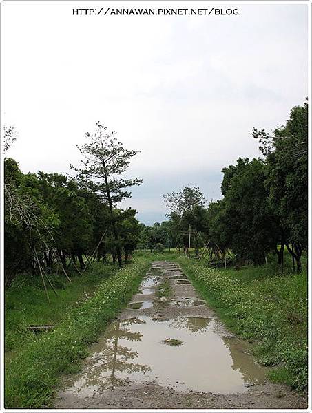 抵達摩爾花園,這是入口處的邊邊一塊,雨不小