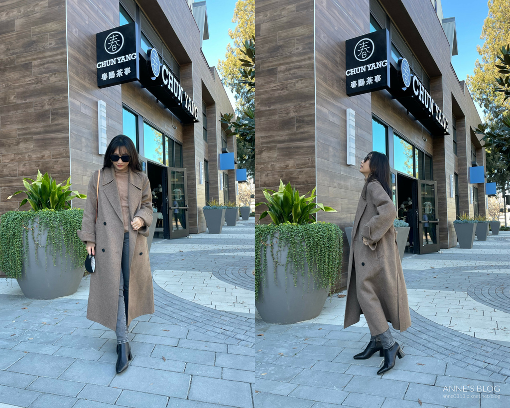 Y coat collage2.jpg