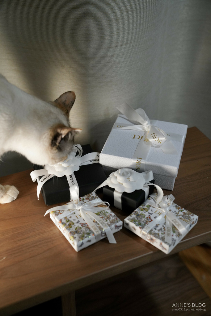 [SHOPPING] CHANEL 24P & DIOR飾品