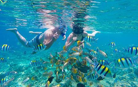 Snorkeling-Gili-1024x643.jpg