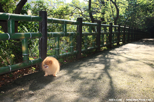 2009.03.05圓通寺 014.jpg