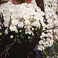 2009.03.13國際花卉展 039.jpg