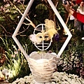 2009.03.13國際花卉展 057.jpg