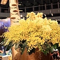 2009.03.13國際花卉展 070.jpg