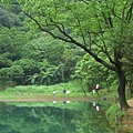 雨勢看起來不大,應該也下不久